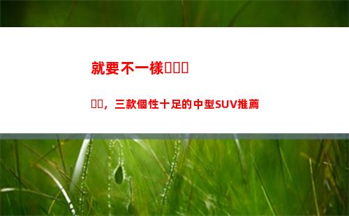 就要不一樣，三款個性十足的中型SUV推薦(就要和別人不一樣)